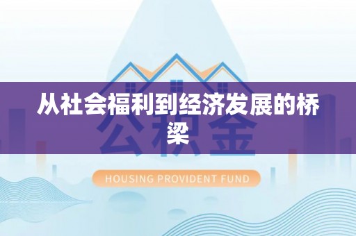 罗江从社会福利到经济发展的桥梁