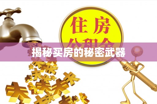 罗江揭秘买房的秘密武器
