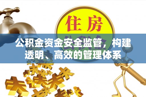 罗江公积金资金安全监管，构建透明、高效的管理体系