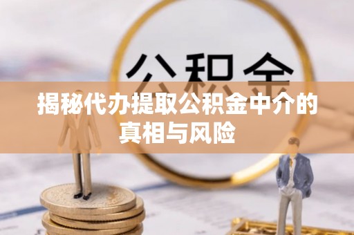 罗江揭秘代办提取公积金中介的真相与风险