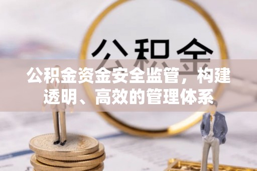 罗江公积金资金安全监管，构建透明、高效的管理体系