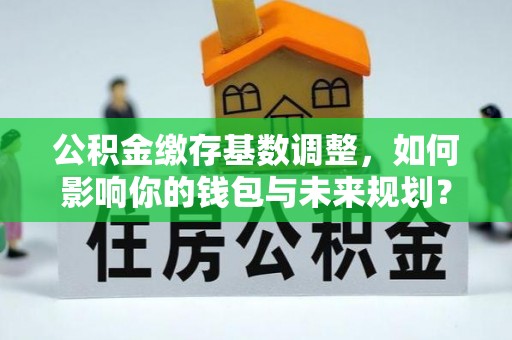 罗江公积金缴存基数调整，如何影响你的钱包与未来规划？