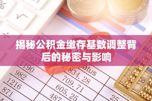 罗江揭秘公积金缴存基数调整背后的秘密与影响