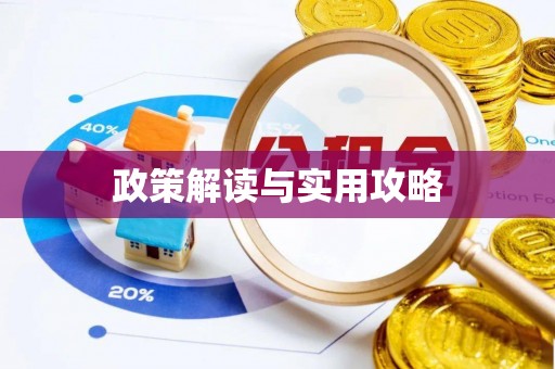 罗江政策解读与实用攻略