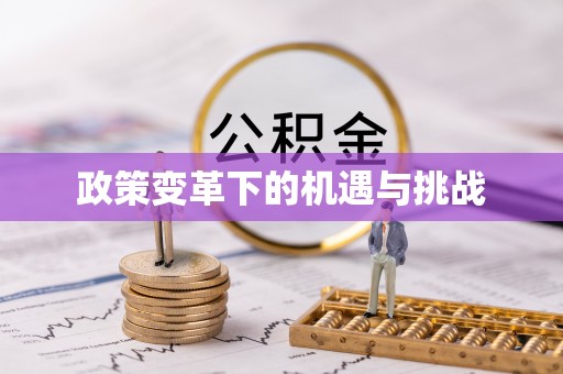 罗江政策变革下的机遇与挑战