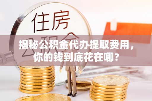 罗江揭秘公积金代办提取费用，你的钱到底花在哪？