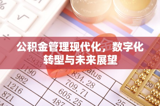 罗江公积金管理现代化，数字化转型与未来展望
