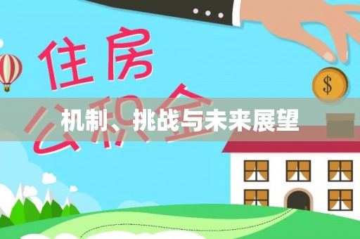 罗江机制、挑战与未来展望