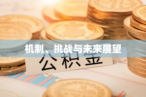 罗江机制、挑战与未来展望