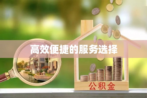 罗江高效便捷的服务选择